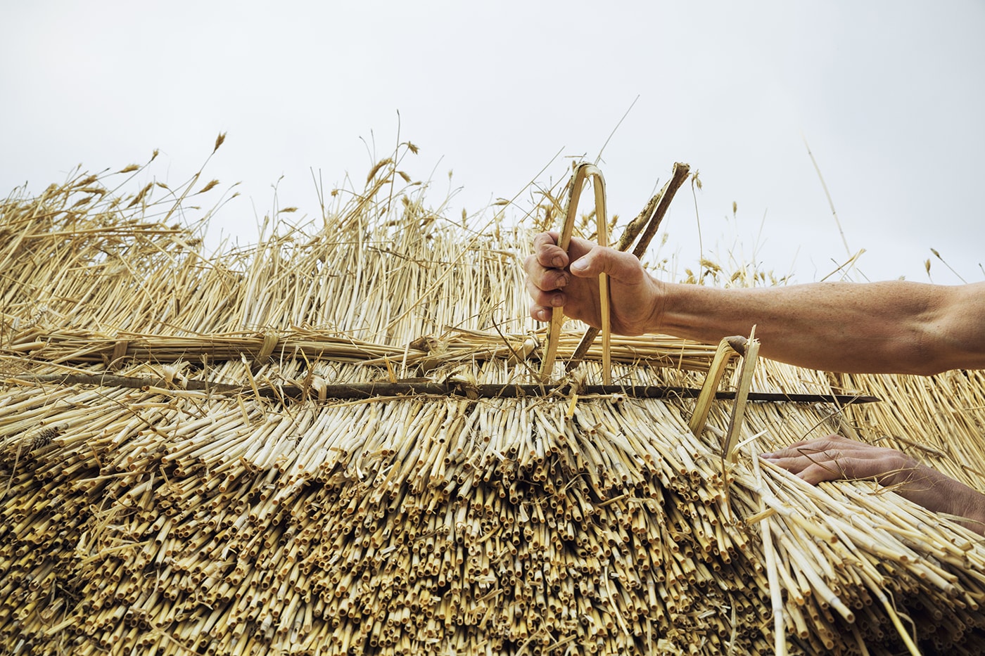 Rieten Dak in Antwerpen